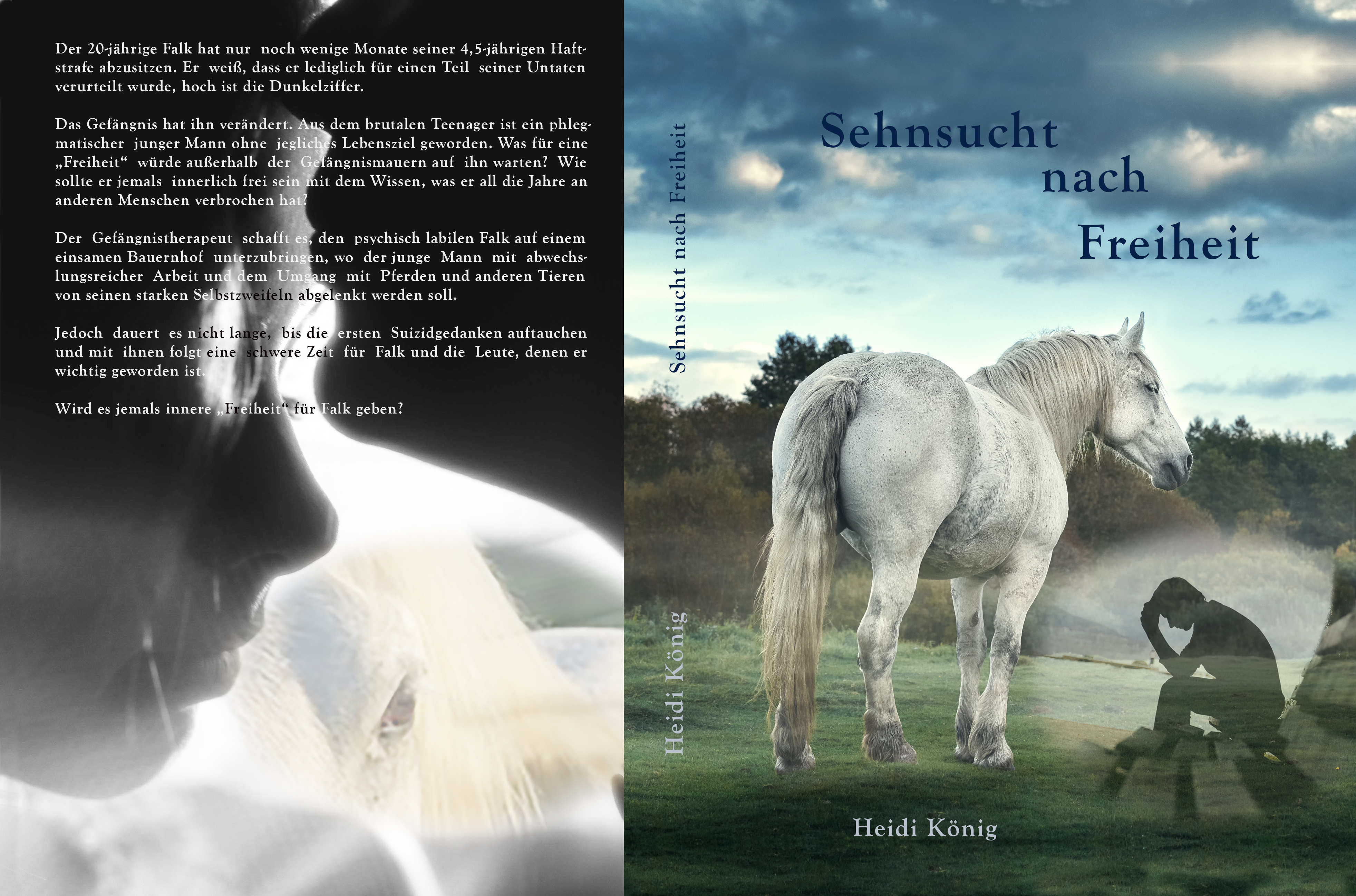 Cover_neu_Sehnsucht Kopie